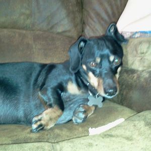 Meet your Posher, Becky